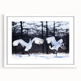 Elegant framed wall art featuring a crane design, set in a white mat and sleek frame, ideal for modern home decor. Perfect for bird lovers and art enthusiasts.