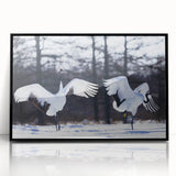 Framed wall art featuring an elegant crane design in black acrylic, ideal for modern decor. The artwork showcases intricate details and adds sophistication to any space.
