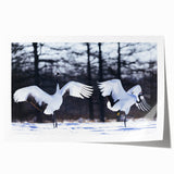 Elegant wall art featuring a crane design in soft pastel colors, rolled and ready for display, ideal for enhancing modern home decor while celebrating nature's beauty.