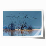 Elegant rolled print of a crane design wall art, showcasing intricate details and soft color palette, perfect for enhancing modern home decor.