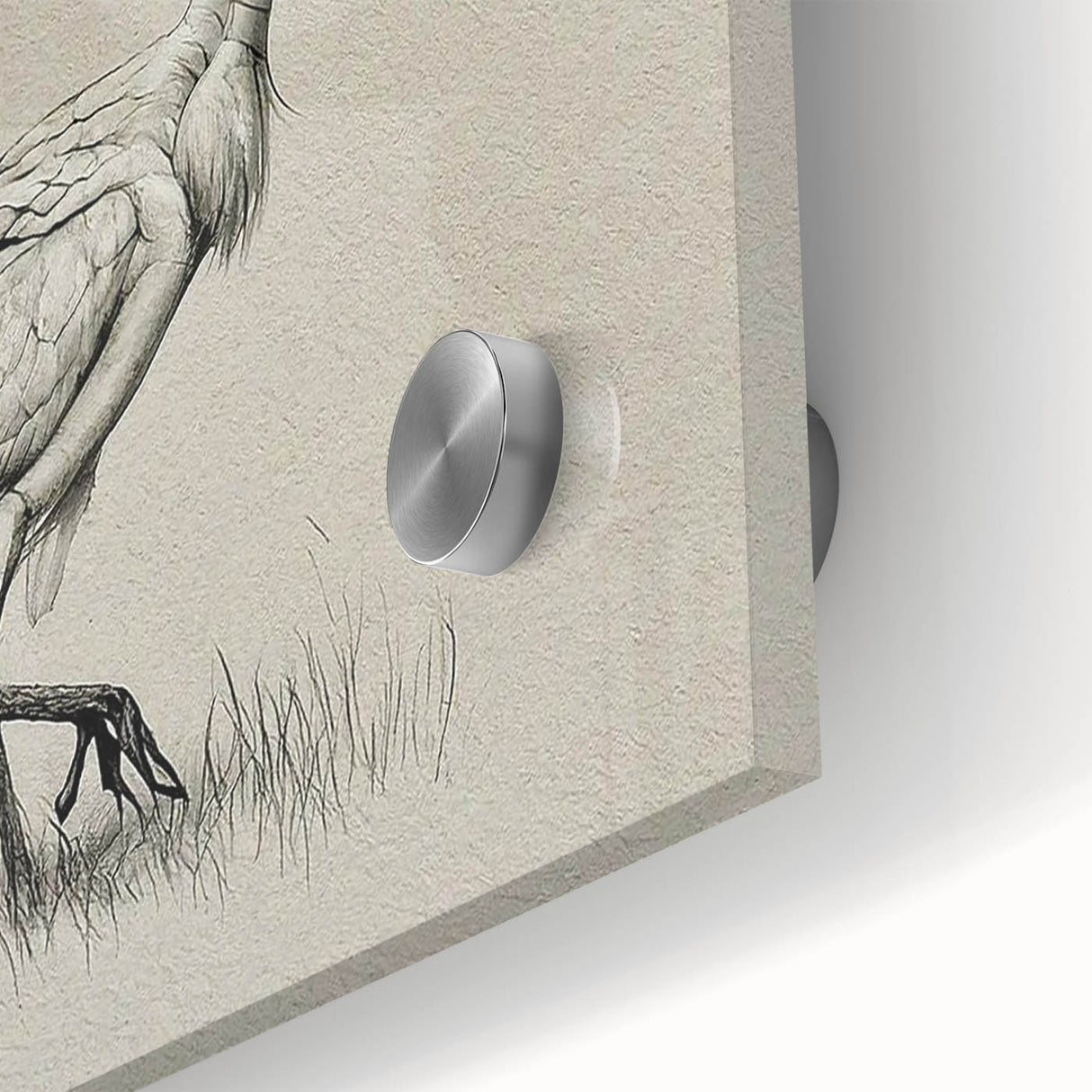 Close-up of a stunning crane design wall art piece, showcasing intricate details on acrylic glass, perfect for modern home decor and artistic displays.