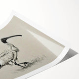 Elegant crane design wall art print showcasing intricate details and soft pastel colors, rolled for easy shipping and perfect for home decor enhancement.