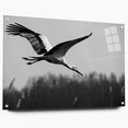 Elegant acrylic glass wall art collection featuring a detailed crane design, showcased from a side view with pins for easy mounting. Ideal for modern decor.