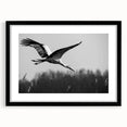 Stylish wall art featuring an elegant crane design in a black frame with a mat, perfect for modern home decor. Ideal for nature and bird lovers.