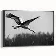 Framed wall art featuring an elegant crane design in black and white, showcasing a modern aesthetic perfect for contemporary decor in living spaces.