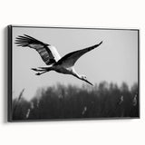 Framed wall art featuring an elegant crane design in black and white, showcasing a modern aesthetic perfect for contemporary decor in living spaces.
