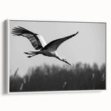 Framed canvas wall art featuring an elegant crane design in a minimalist style, showcasing a white background and premium craftsmanship, perfect for modern decor.