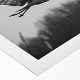 Elegant rolled canvas showcasing a vibrant crane design in a contemporary style, perfect for enhancing modern home decor. The artwork features bold colors and intricate details, making it a stunning visual centerpiece for any room.