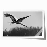 Elegant rolled print showcasing a crane design, featuring vibrant colors and intricate detailing, perfect for enhancing home decor or office spaces.