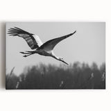Elegant crane design wall art on stretched canvas, featuring intricate details and soft colors, ideal for enhancing modern home decor. Perfect for bird lovers.