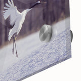 Close-up view of a vibrant crane design wall art piece, featuring intricate details and a smooth acrylic finish, ideal for modern home decor and art enthusiasts.