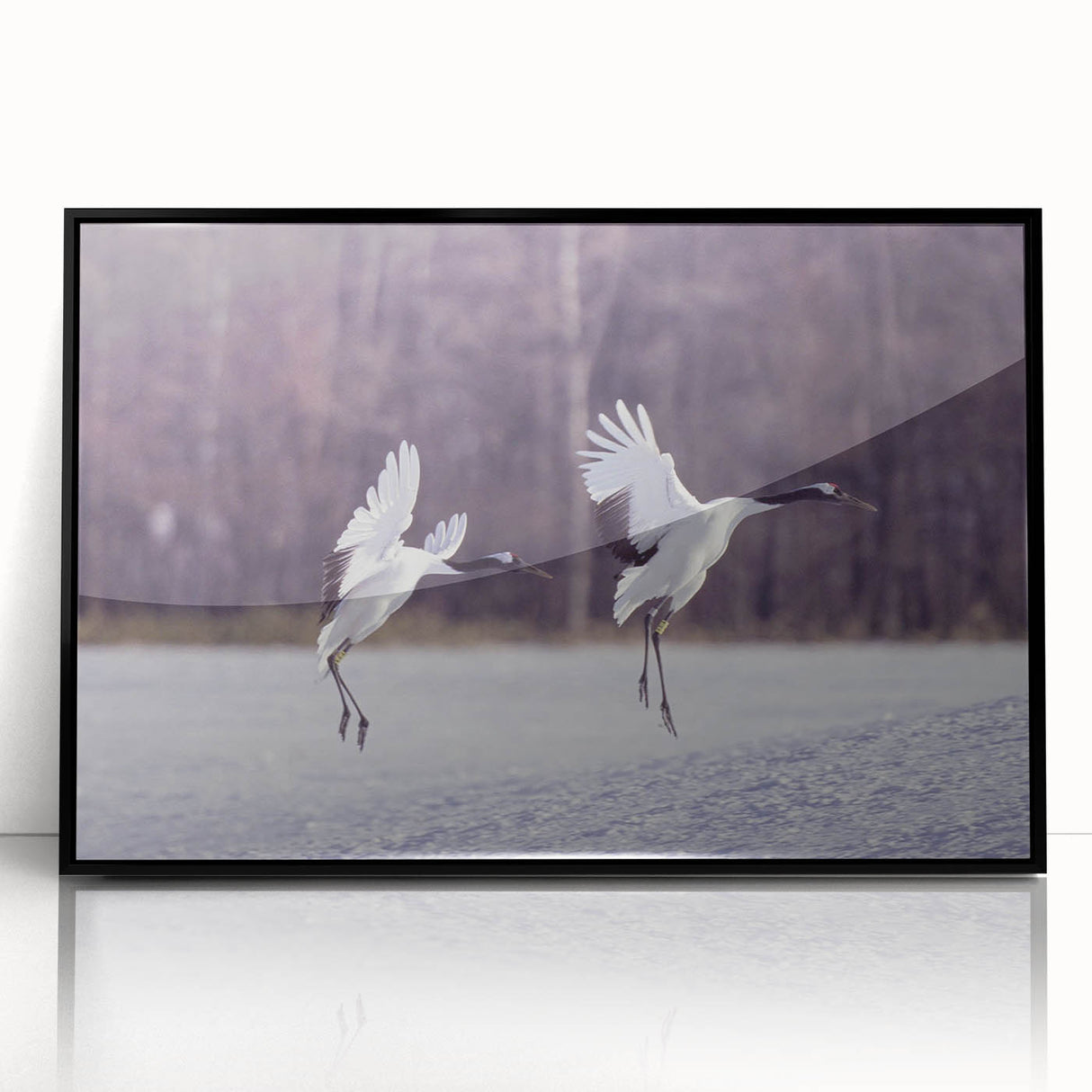 Framed wall art featuring a striking black crane design, elegantly displayed with an acrylic front, perfect for modern home decor. Ideal for bird lovers and art enthusiasts.