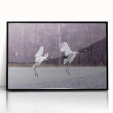 Framed wall art featuring a striking black crane design, elegantly displayed with an acrylic front, perfect for modern home decor. Ideal for bird lovers and art enthusiasts.