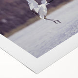 Elegant rolled canvas showcasing a stunning crane design in a vibrant color palette, perfect for enhancing home decor. Ideal for bird lovers and art enthusiasts.