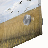 Close-up of a vibrant wall art piece featuring a crane design on acrylic glass, showcasing intricate details and colors, ideal for modern home decor.