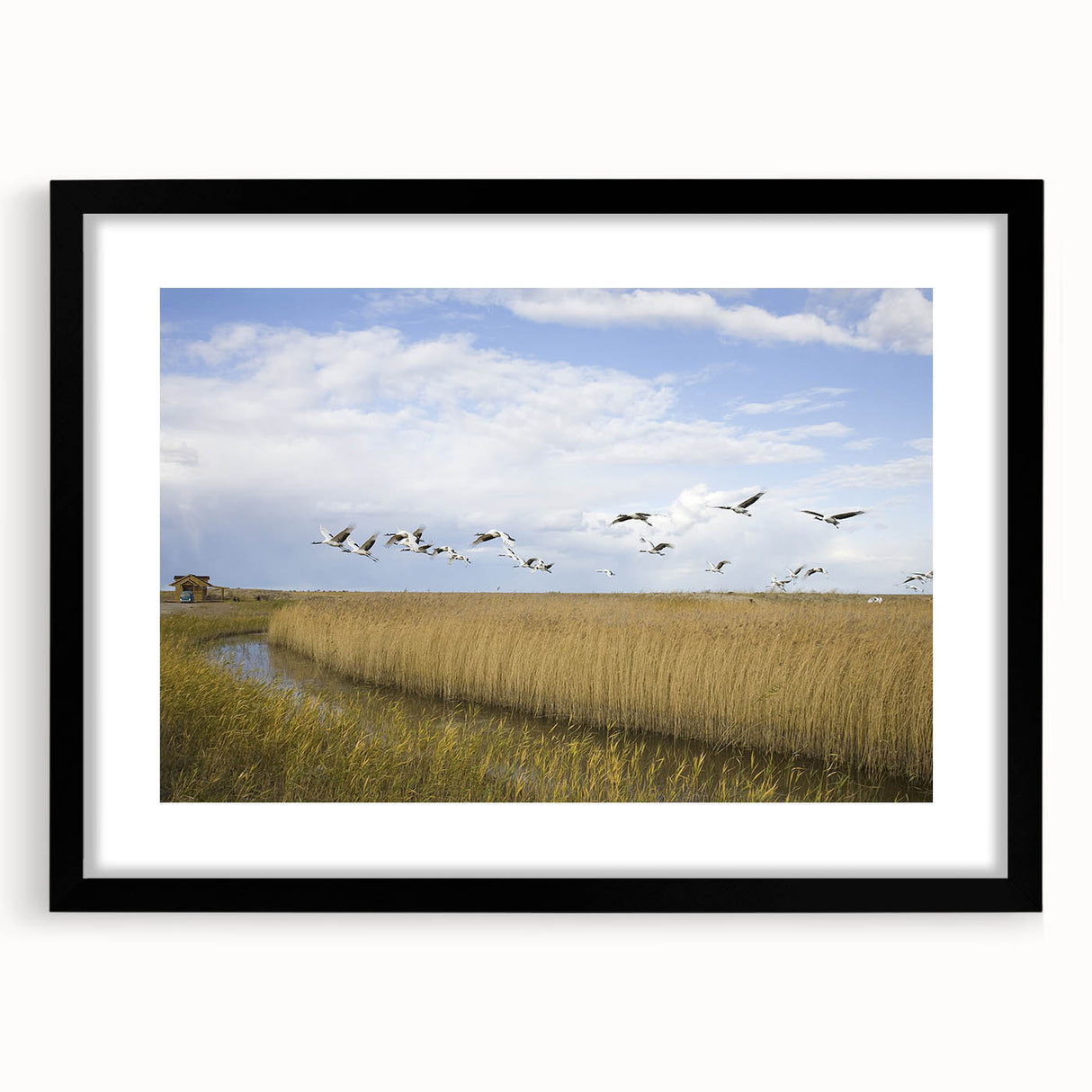 Black-framed wall art featuring an elegant crane design, showcasing intricate details and vibrant colors, perfect for enhancing contemporary home decor.