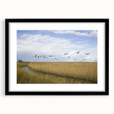 Black-framed wall art featuring an elegant crane design, showcasing intricate details and vibrant colors, perfect for enhancing contemporary home decor.