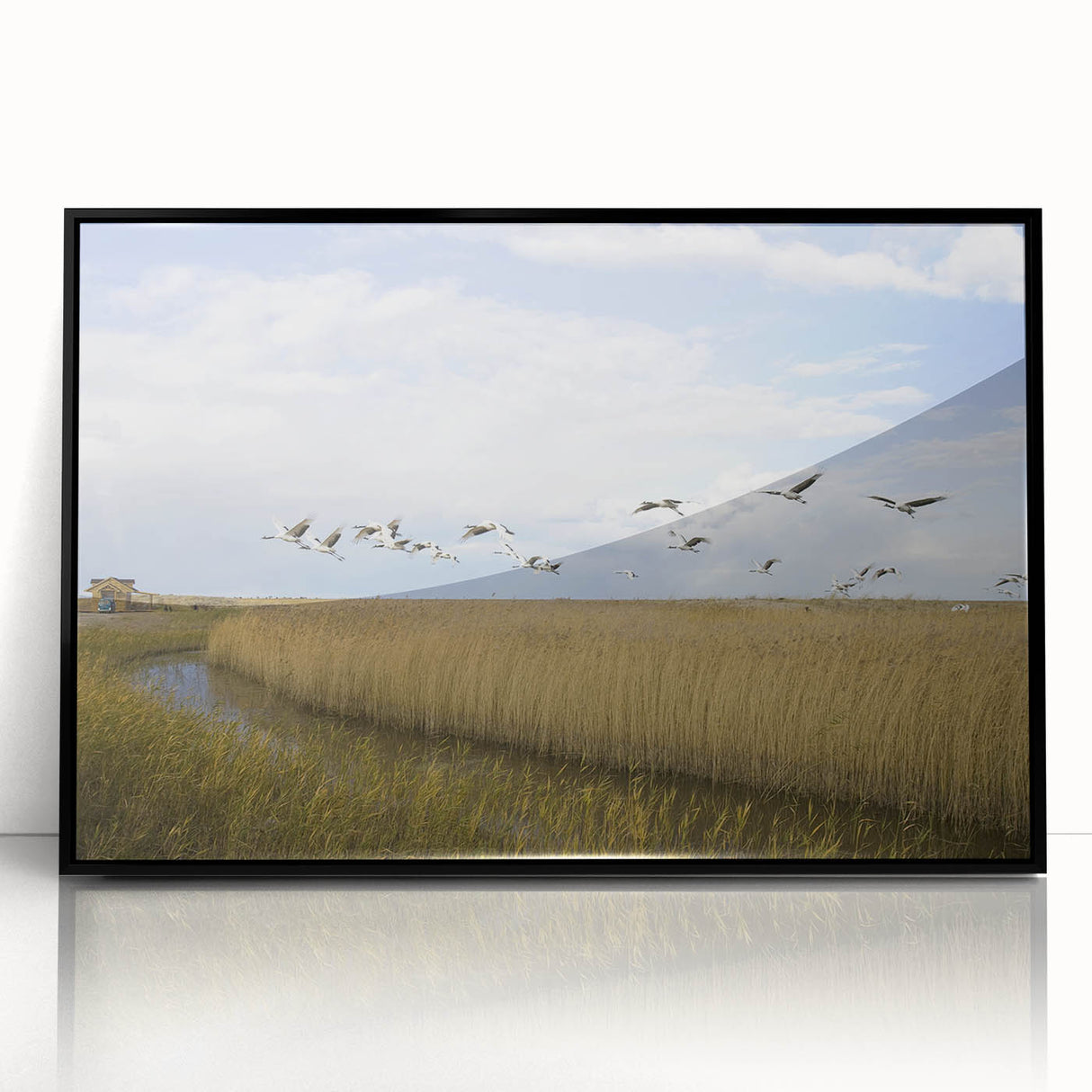 Framed wall art showcasing an elegant crane design, featuring a sleek black border and acrylic finish, ideal for modern decor. Perfect for enhancing living spaces or offices.