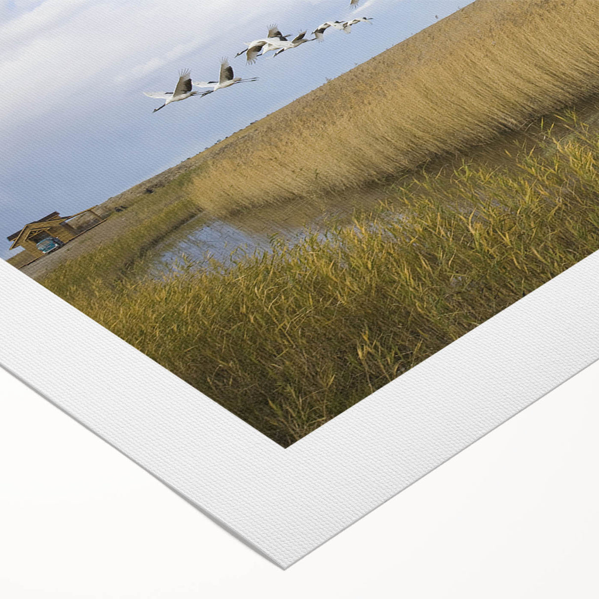 Elegant rolled canvas showcasing a crane design in vibrant colors, ideal for modern home decor. The artwork features intricate details and a textured finish, perfect for adding a sophisticated touch to any space.