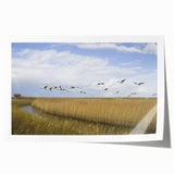 Elegant rolled print showcasing a detailed crane design in soft pastel colors, perfect for home decor. Ideal for enhancing modern or minimalist interiors.