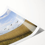 Elegant rolled print showcasing a crane design in soothing pastel colors, perfect for home decor or office space. The artwork exudes tranquility and sophistication, enhancing any interior setting with its artistic flair. Ideal for bird enthusiasts or lovers of nature-inspired art.