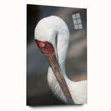 Elegant side view of a crane design wall art piece made of acrylic glass, showcasing vibrant colors and intricate details, perfect for modern home decor.