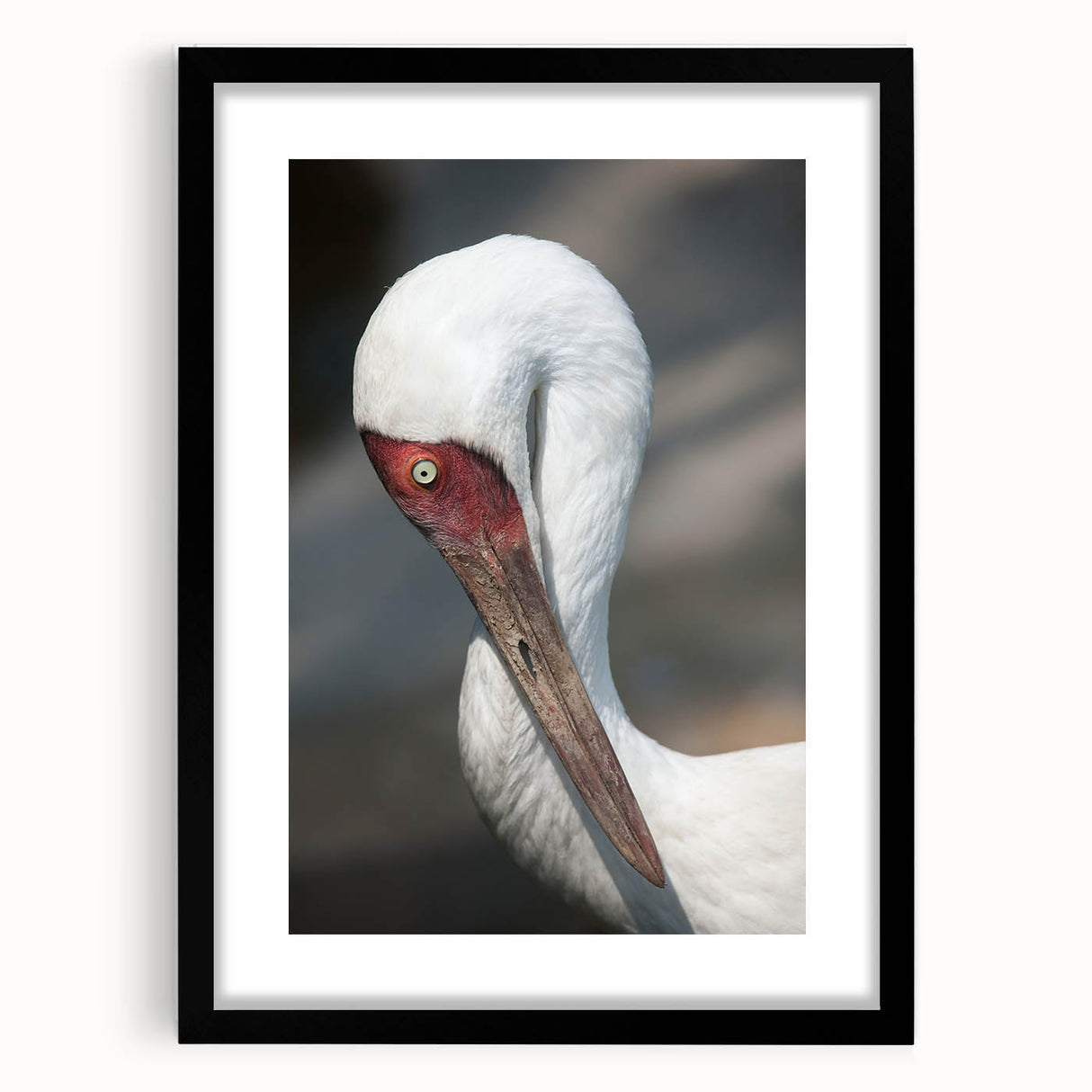 Framed wall art featuring a serene crane design in black and white, showcasing elegant lines and intricate details, perfect for modern home decor.