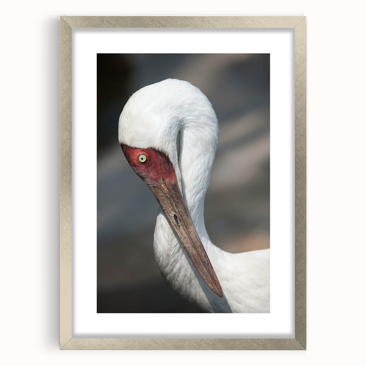 Framed wall art featuring an elegant crane design in silver, showcasing intricate details and a stylish mat, perfect for modern home decor.