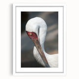 Framed wall art featuring a delicate crane design in soft colors, set against a white mat, ideal for enhancing modern home decor or office spaces.