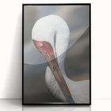 Framed wall art featuring a stunning crane design, set in a sleek black frame with acrylic glass, perfect for modern home decor. Ideal for nature lovers and interior design enthusiasts.