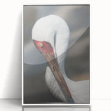 Framed wall art showcasing an elegant crane design in a minimalist white frame, perfect for modern home decor. The acrylic finish enhances the vibrant colors, adding sophistication to any room.