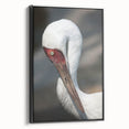 Framed wall art featuring a black crane design on canvas, showcasing elegant lines and intricate details, perfect for contemporary home decor.