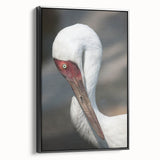 Framed wall art featuring a black crane design on canvas, showcasing elegant lines and intricate details, perfect for contemporary home decor.