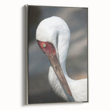 Framed wall art featuring an elegant silver side view of a crane design, showcasing intricate details and modern aesthetics, perfect for contemporary decor.