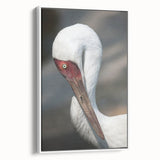 Framed canvas wall art showcasing an elegant crane design in a serene white frame, perfect for enhancing modern home decor. Ideal for bird lovers and art enthusiasts.