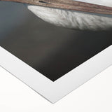 Elegant rolled canvas showcasing a graceful crane design in a vibrant color palette, ideal for enhancing home decor with a touch of nature-inspired art.