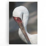 Elegant crane design wall art on stretched canvas, showcasing intricate details and vibrant colors, perfect for enhancing modern home decor and art collections.