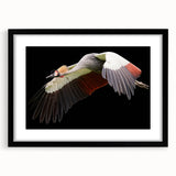 Elegant black-framed wall art featuring a serene crane design, perfect for home decor, showcasing intricate details and a modern aesthetic. Ideal for bird enthusiasts and art lovers.