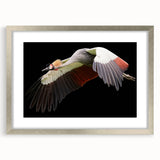 Framed wall art featuring an elegant crane design in silver, showcasing intricate details and a modern aesthetic, perfect for enhancing home decor.