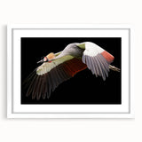 Framed wall art featuring an elegant crane design in soft pastel colors, set against a white mat and frame, ideal for modern home decor and bird lovers.