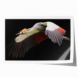 Elegant crane design wall art print showcasing graceful birds amidst soft pastel colors, perfect for enhancing modern home decor; rolled and ready for framing.