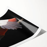 Elegant rolled print of a crane design from the Birds Crane Design 23 wall art collection, showcasing intricate details and soft pastel colors, perfect for home decor.