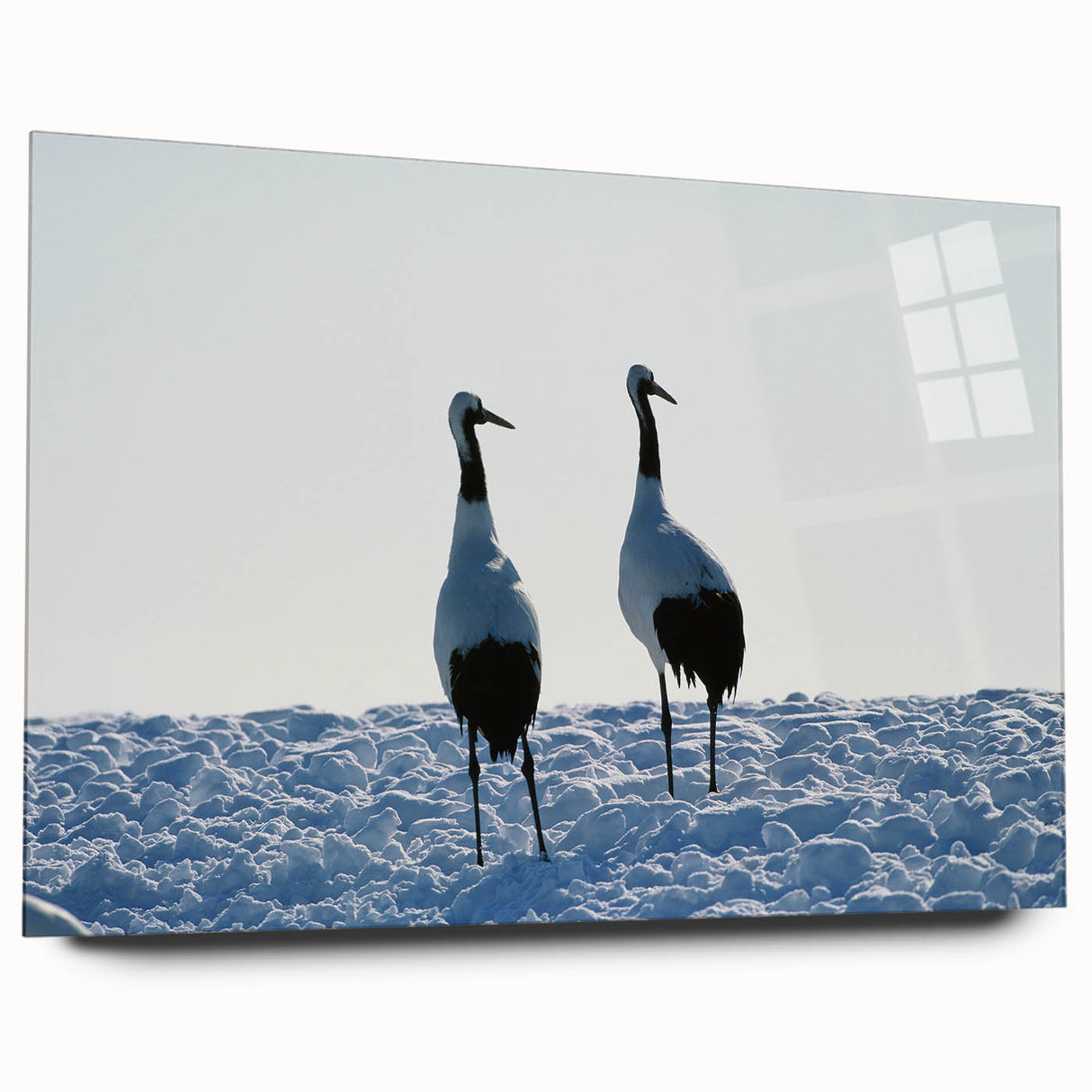 Elegant wall art featuring a side view of a crane design printed on acrylic glass, showcasing vibrant colors and intricate details, ideal for modern home decor.
