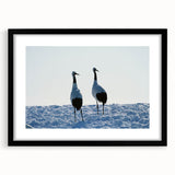 Framed wall art collection showcasing elegant crane designs in a matte black frame, perfect for modern home decor, adding a touch of sophistication to any room.