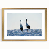 Framed wall art showcasing a stunning crane design with a gold matte finish, perfect for adding elegance to any home decor. Ideal for bird lovers and art enthusiasts.
