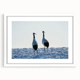 Framed wall art showcasing an elegant crane design in a white mat, perfect for home decor. This bird-themed artwork adds sophistication to any setting.