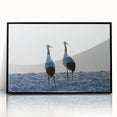 Framed wall art showcasing a stunning crane design in vibrant colors, set against a sleek black frame, perfect for enhancing modern home decor.