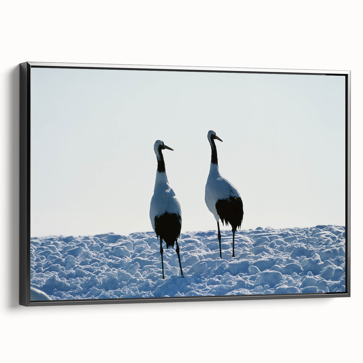Framed wall art featuring a striking black crane design on canvas, showcasing intricate details and elegant lines, perfect for modern home decor.