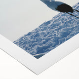 Elegant rolled canvas showcasing a stunning crane design, featuring vibrant colors and intricate details, perfect for enhancing any wall decor.