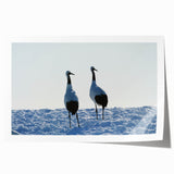 Elegant rolled print showcasing a crane design in vibrant colors, part of a 24-piece wall art collection, perfect for adding a touch of nature-inspired decor to any space.